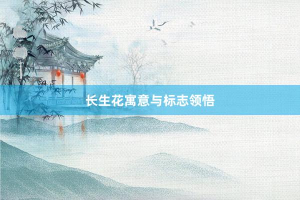 长生花寓意与标志领悟